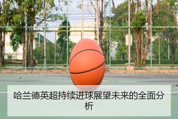 哈兰德英超持续进球展望未来的全面分析