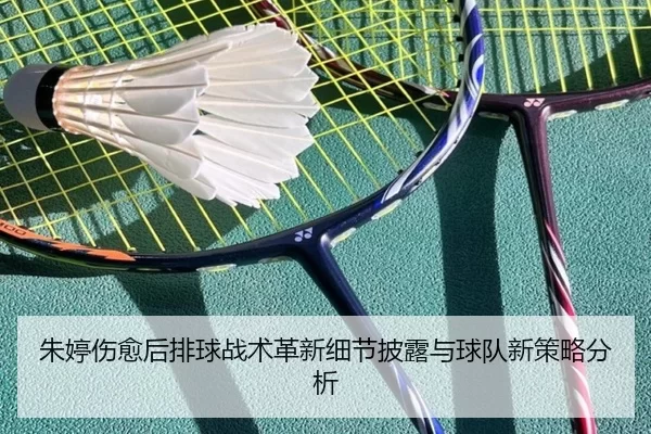 朱婷伤愈后排球战术革新细节披露与球队新策略分析